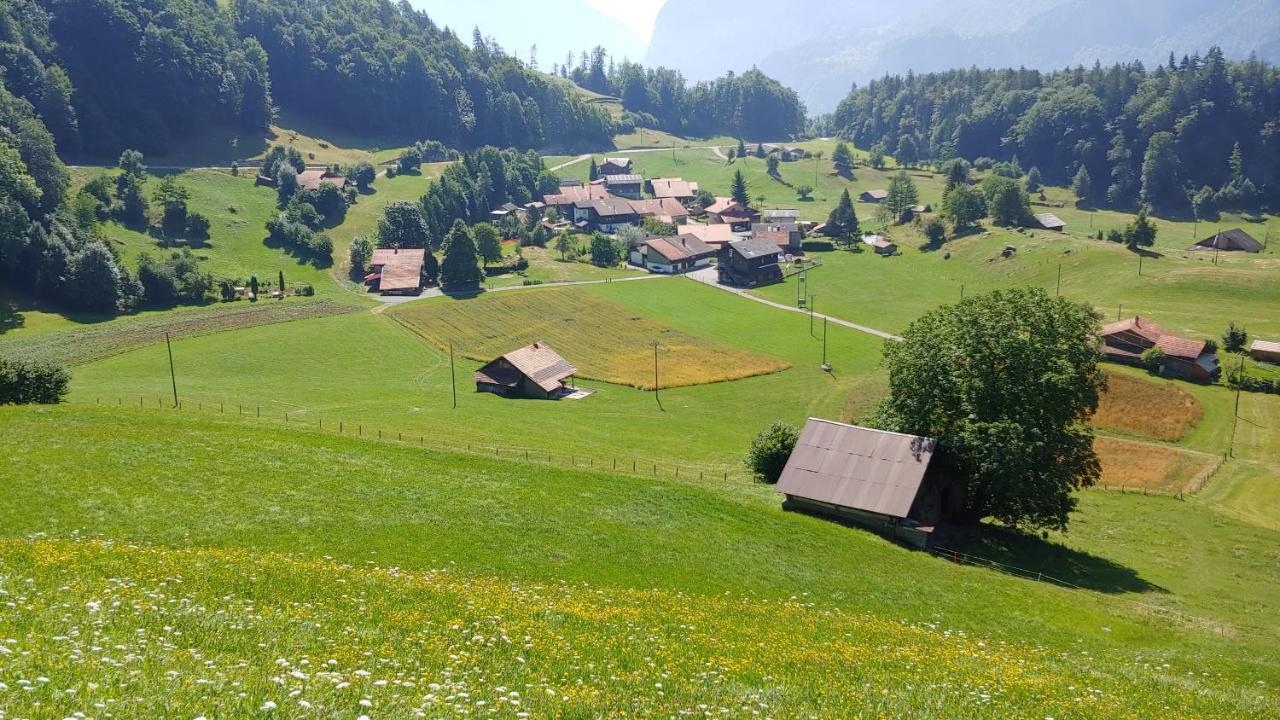 Chalet Bruenig Мейринген Экстерьер фото