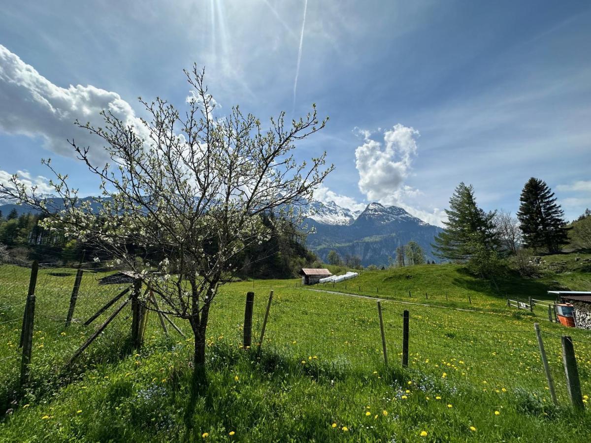 Chalet Bruenig Мейринген Экстерьер фото