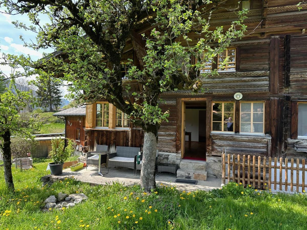 Chalet Bruenig Мейринген Экстерьер фото