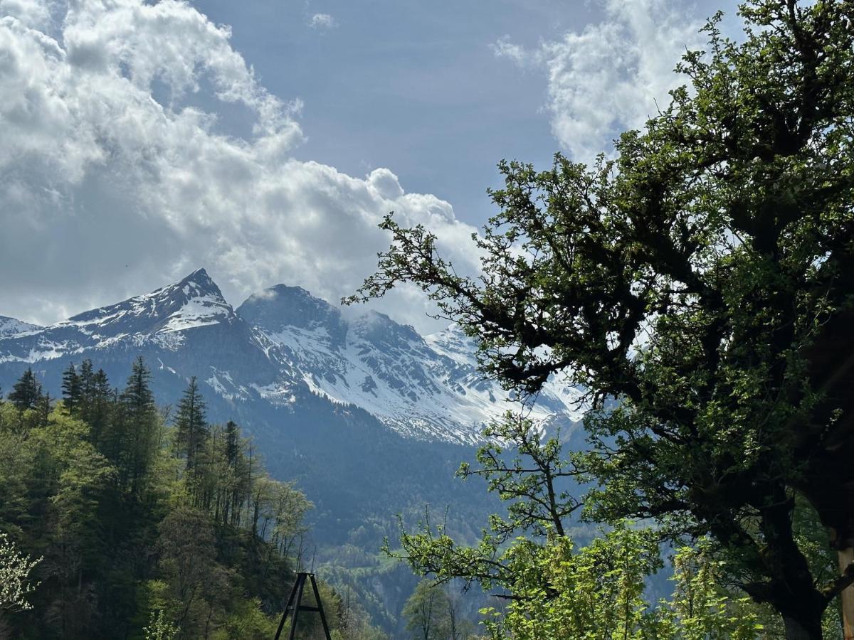 Chalet Bruenig Мейринген Экстерьер фото