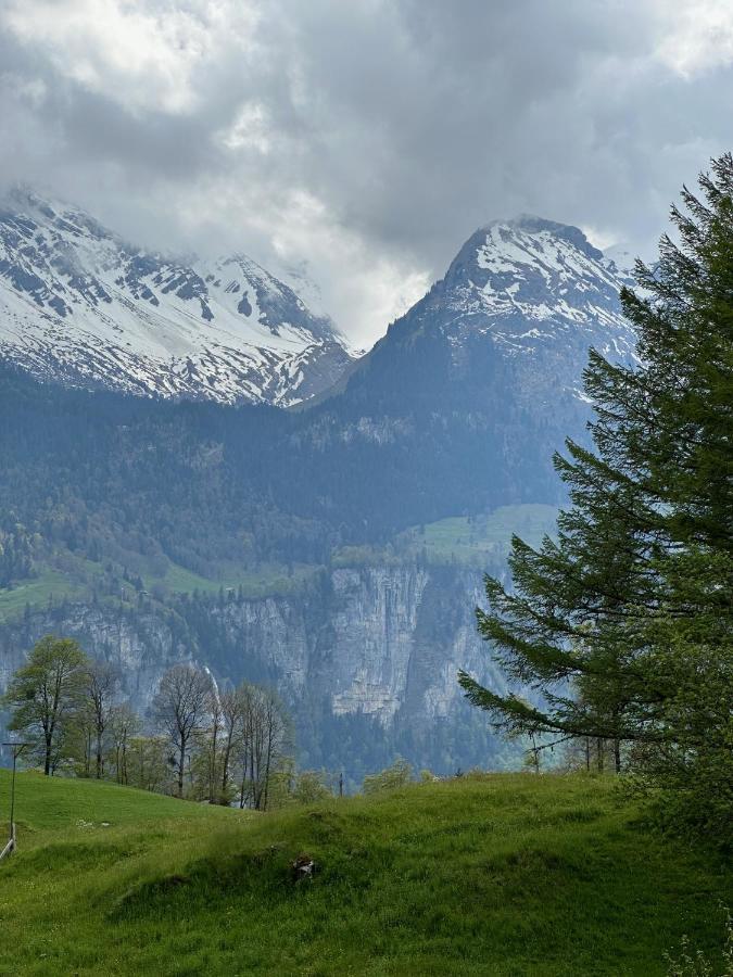 Chalet Bruenig Мейринген Экстерьер фото