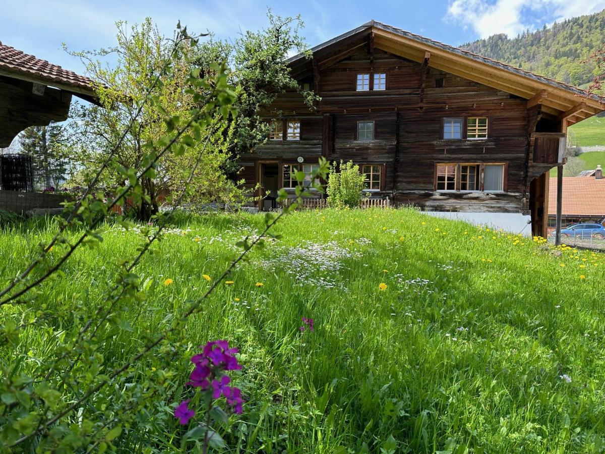 Chalet Bruenig Мейринген Экстерьер фото