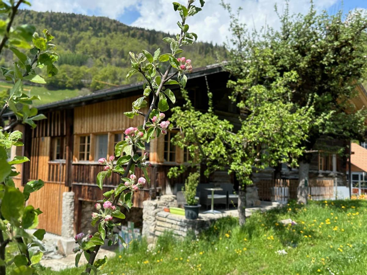 Chalet Bruenig Мейринген Экстерьер фото