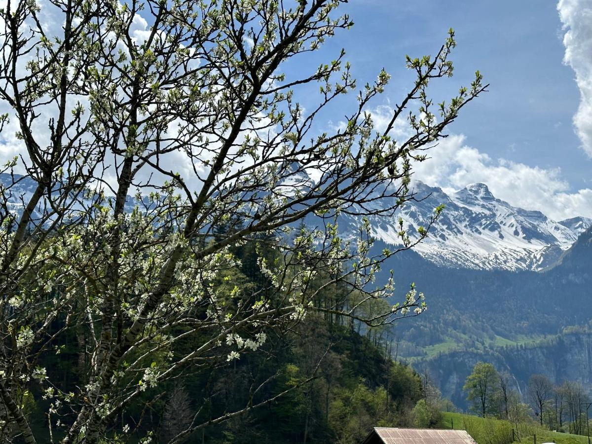 Chalet Bruenig Мейринген Экстерьер фото