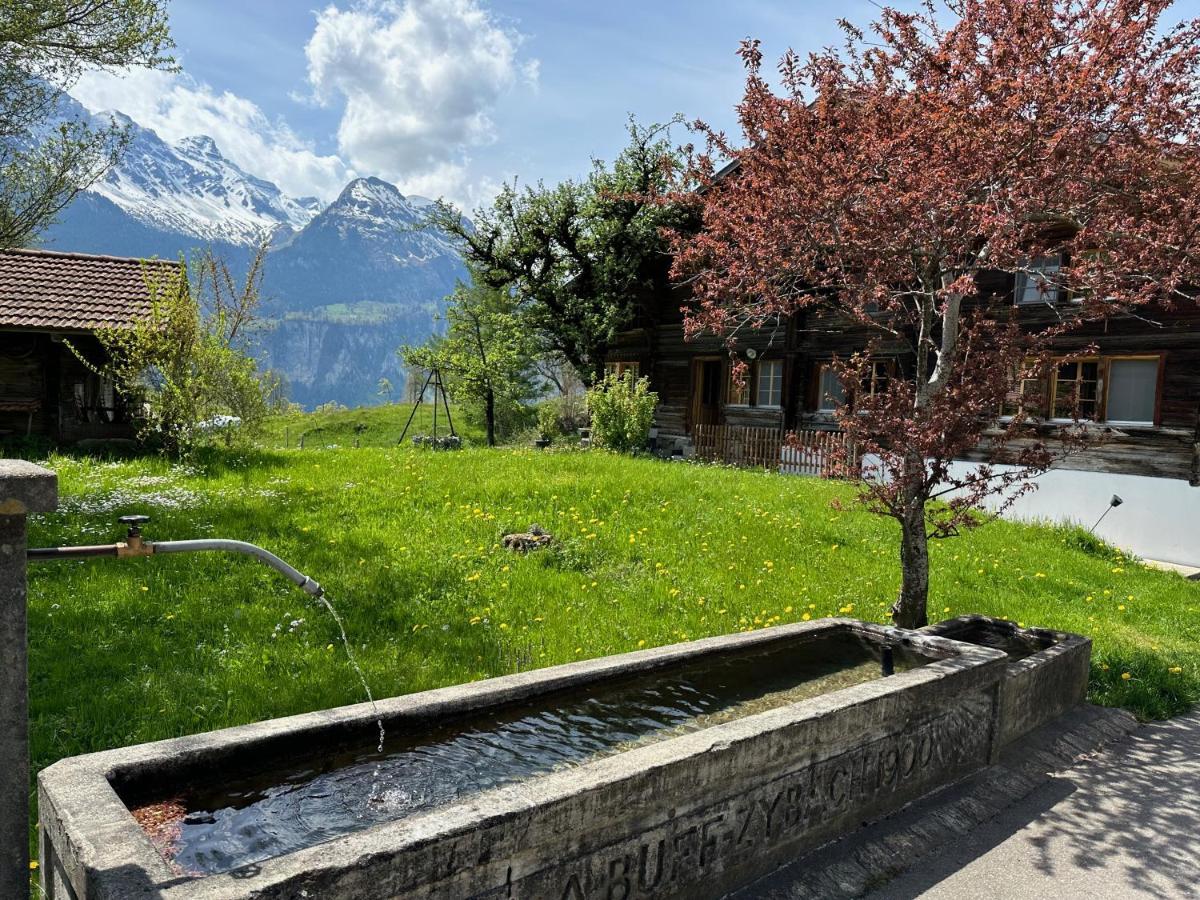 Chalet Bruenig Мейринген Экстерьер фото