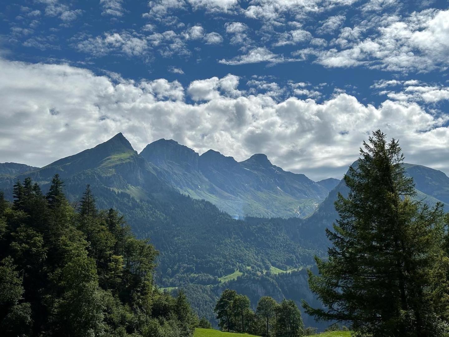 Chalet Bruenig Мейринген Экстерьер фото
