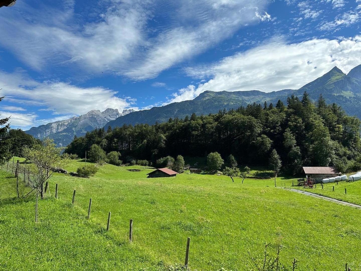 Chalet Bruenig Мейринген Экстерьер фото