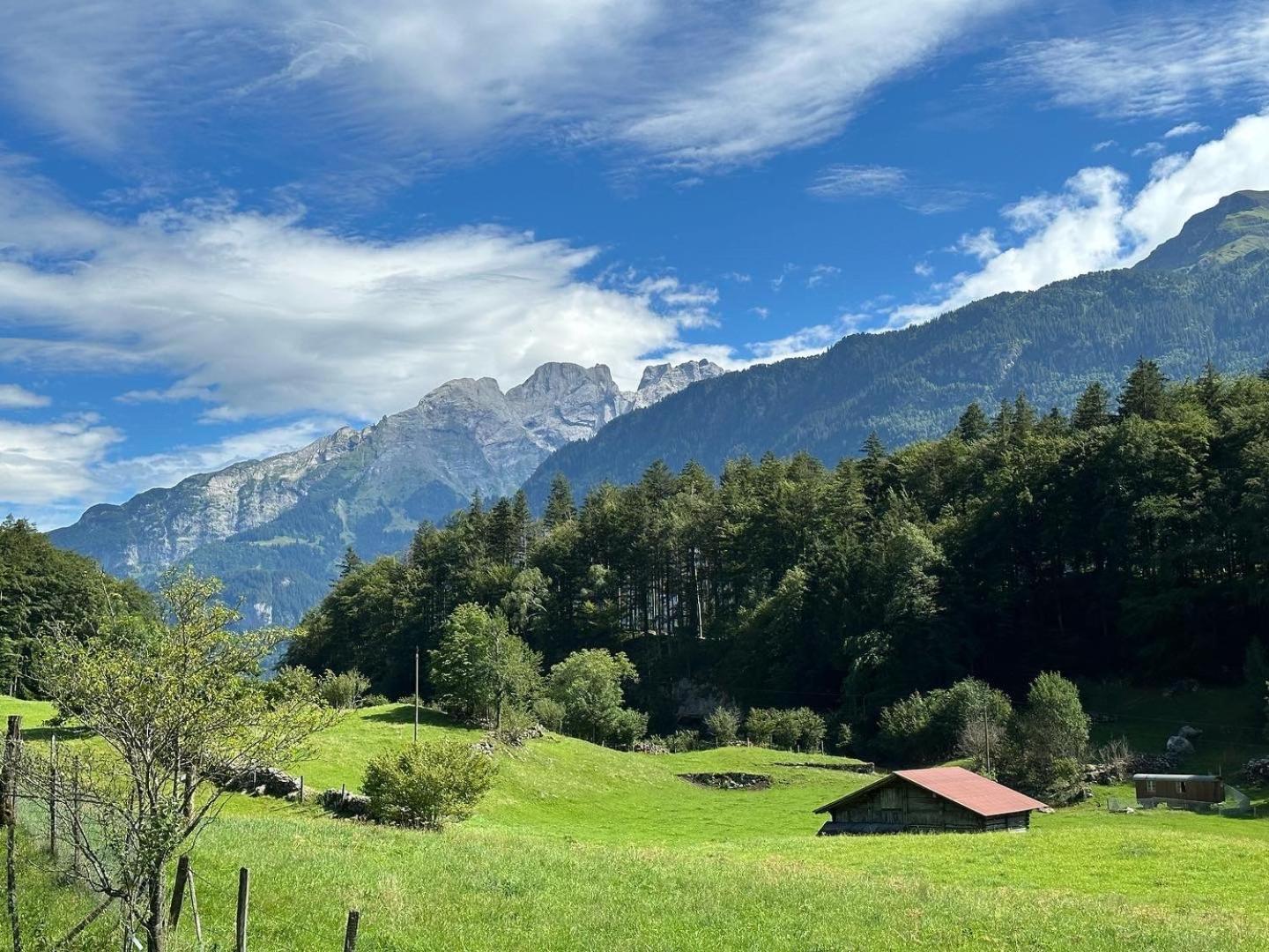 Chalet Bruenig Мейринген Экстерьер фото